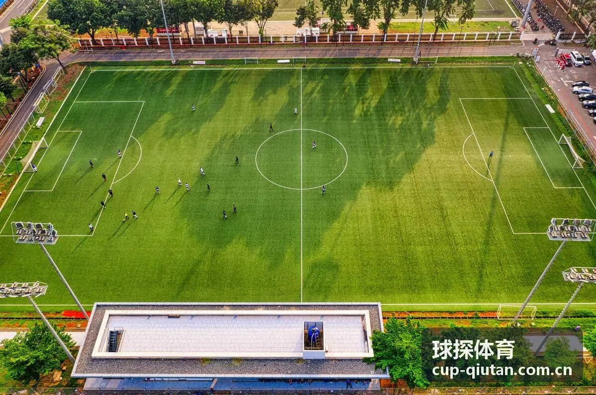 球探体育实时比分数据展示界面